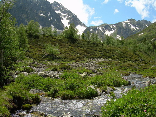 Кавказ.