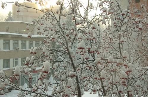 Зима