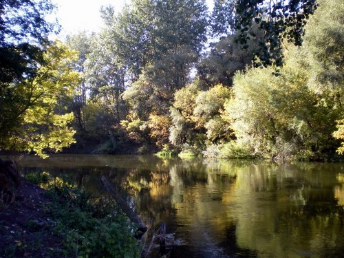 осень на реке Оскол