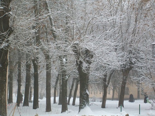 Город в снегу