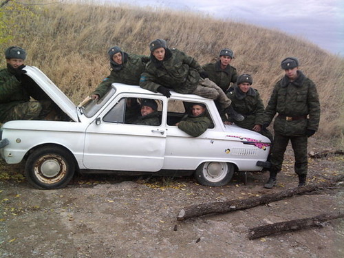В гостях у брата.