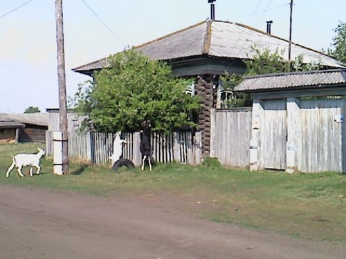 В деревеньке